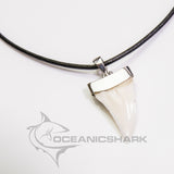 oceanicshark shark tooth pendant gold