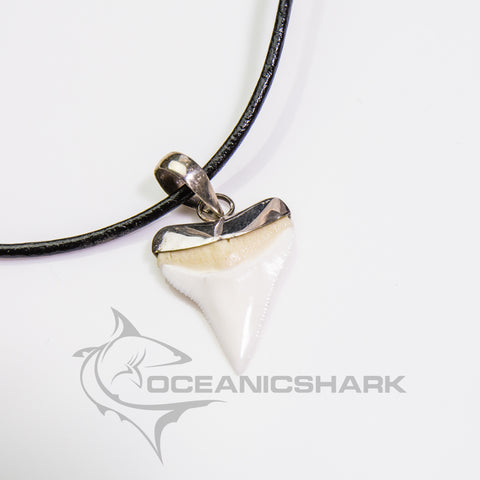 buy shark tooth necklace oceanicshark