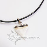 real shark tooth necklace silver oceanicshark