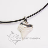great white shark tooth necklace whitetip shark tooth necklace oceanicshark australia