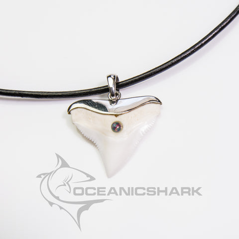 Shark tooth pendant silver opal Oceanicshark