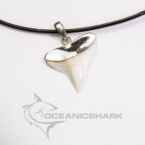 real shark tooth necklace Australia