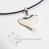 shark tooth necklace near me