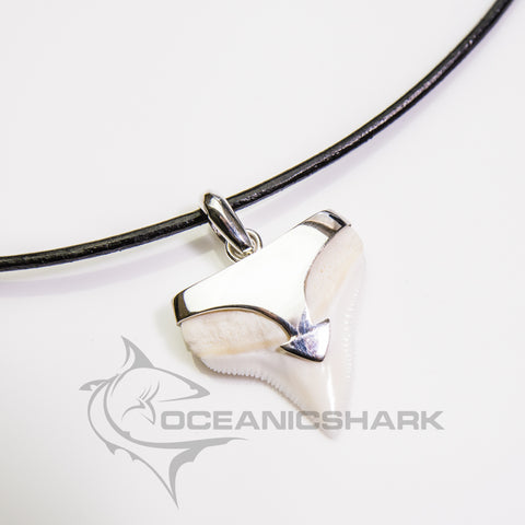 shark tooth necklace for sale
