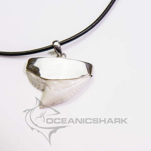 Tiger shark tooth necklace Oceanicshark