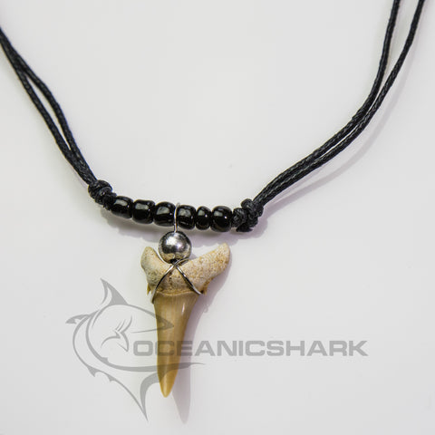 Authentic fossil shark tooth necklace featuring an extinct Odontaspis reticulata tooth from Morocco on an adjustable waxed cotton cord, designed by Oceanicshark Australia