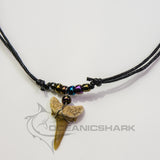buy authentic fossil shark tooth necklace