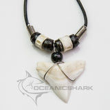 buy real shark tooth necklace for sale 