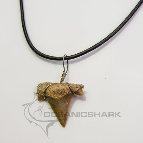 Fossil shark tooth necklace with genuine Otodus obliquus tooth on black leather cord, designed by Oceanicshark Australia