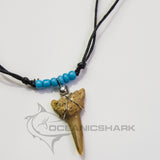 fossil shark tooth necklace with blue beads by oceanicshark australia