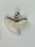 Tiger shark tooth silver infused gift pic61