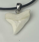 Great white shark tooth necklace for sale Oceanicshark