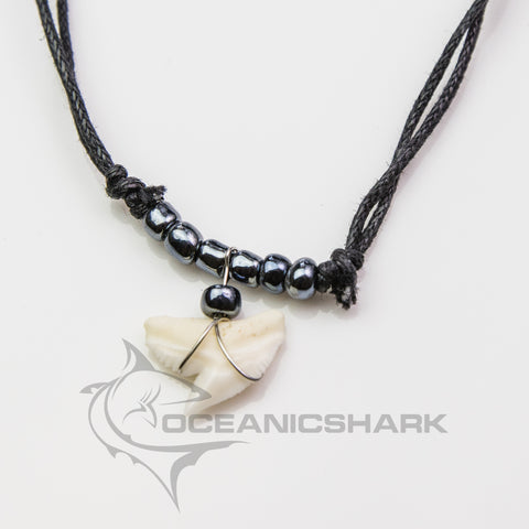 Genuine Tiger shark tooth necklace on adjustable black cord